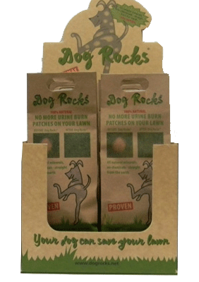Dog Rocks Display Box