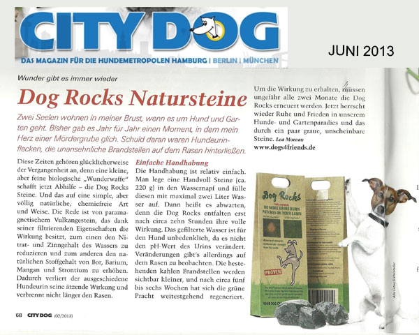 Citydog zu Dog Rocks